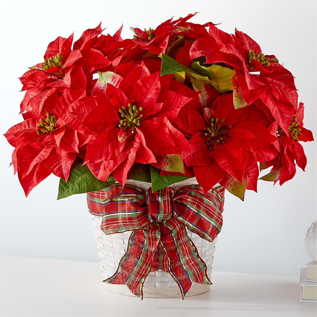 Happiest Holidays Poinsettia – Thompson Country Florist, Wintersville OH