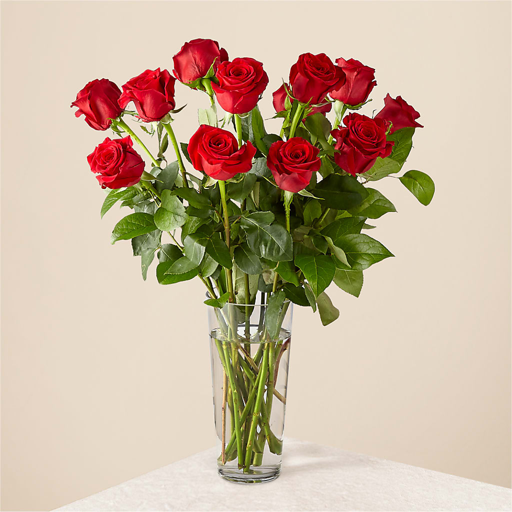 Long Stem Red Rose Bouquet – Thompson Country Florist, Wintersville OH