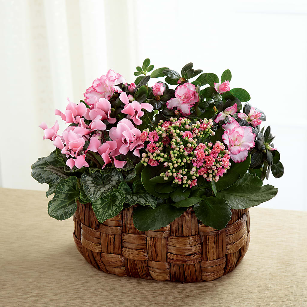 Pink Assortment – Thompson Country Florist, Wintersville OH