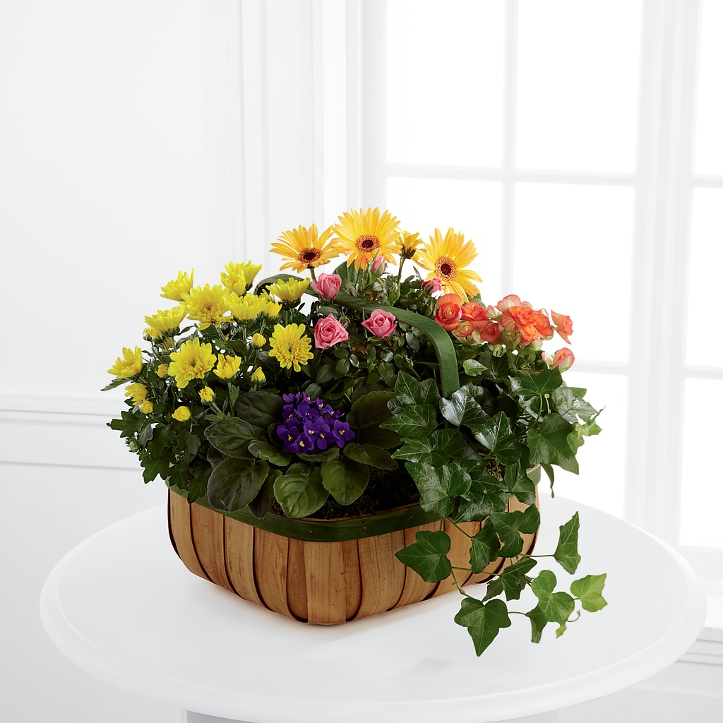 Gentle Blossoms Basket – Thompson Country Florist, Wintersville OH