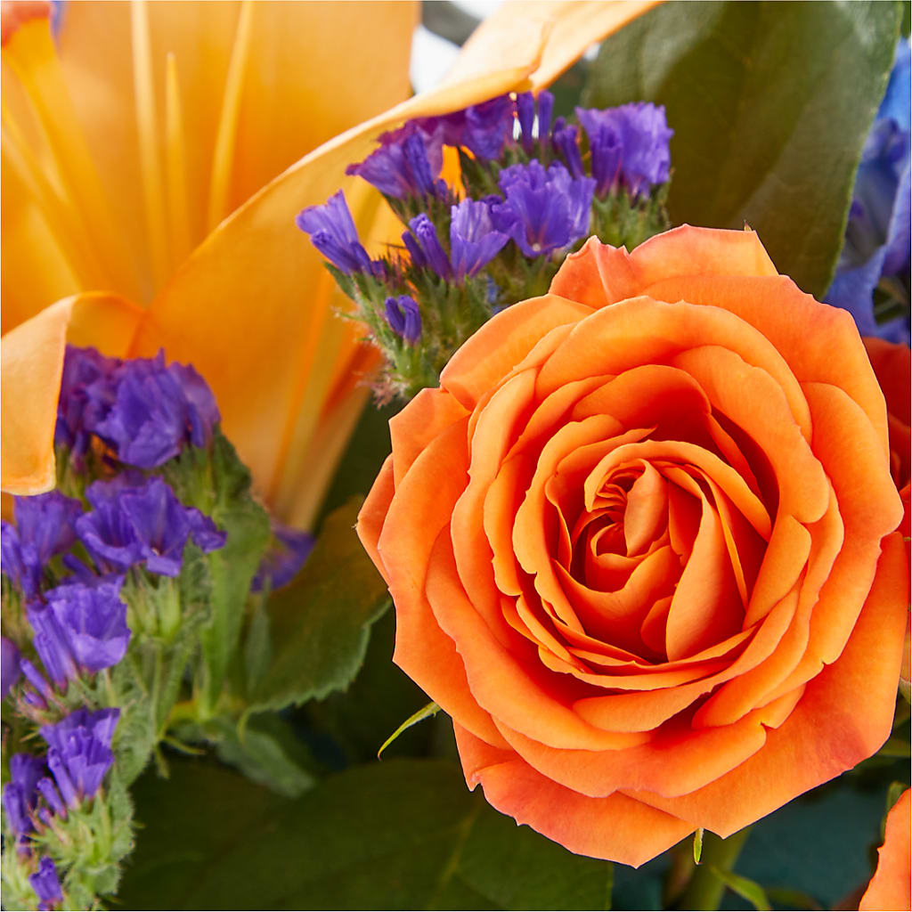 Radiant Citrus Box Bouquet – Thompson Country Florist, Wintersville OH