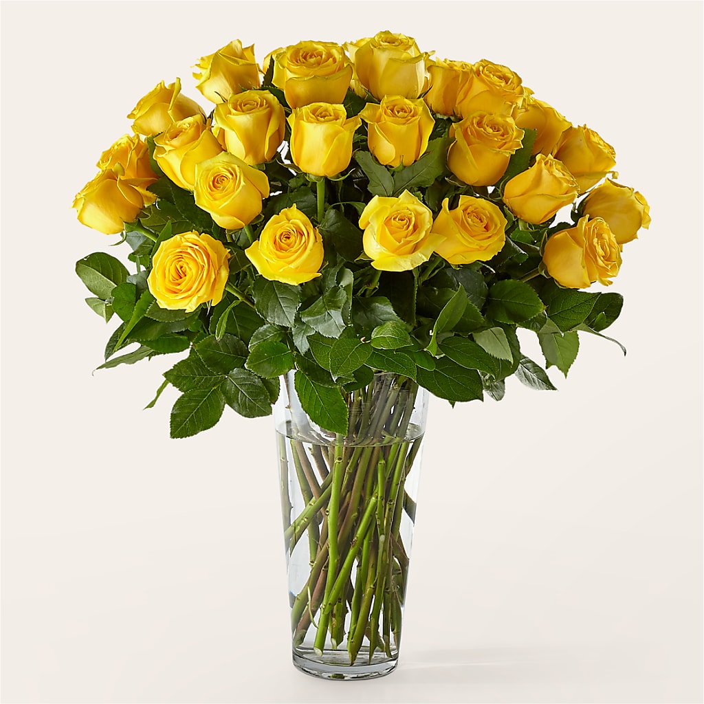 Long Stem Yellow Rose Bouquet – Thompson Country Florist, Wintersville OH
