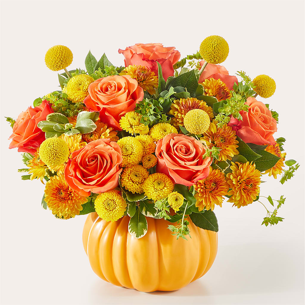 Gourdgeous Pumpkin – Thompson Country Florist, Wintersville OH