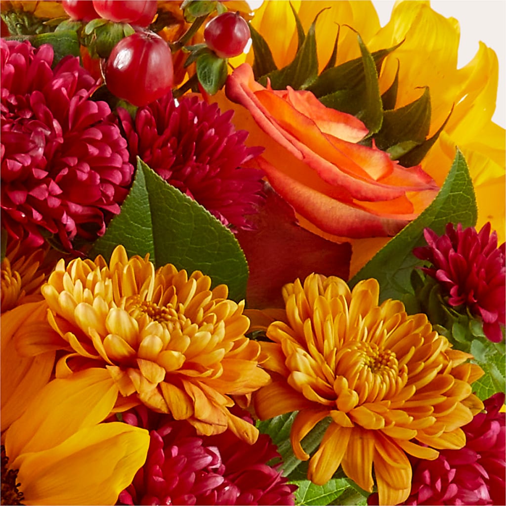 Sweater Season - A Florist Original – Thompson Country Florist, Wintersville OH