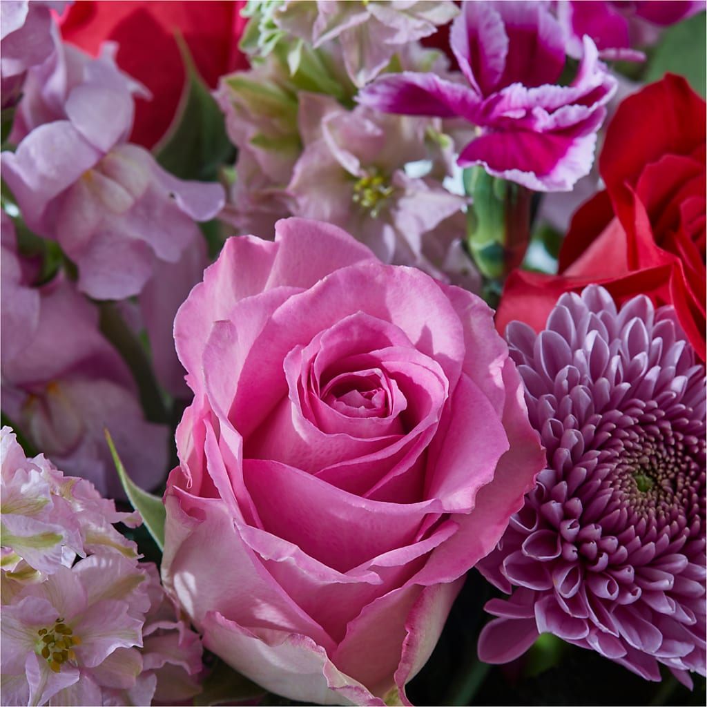 Better Together - A Luxury Florist Original – Thompson Country Florist, Wintersville OH