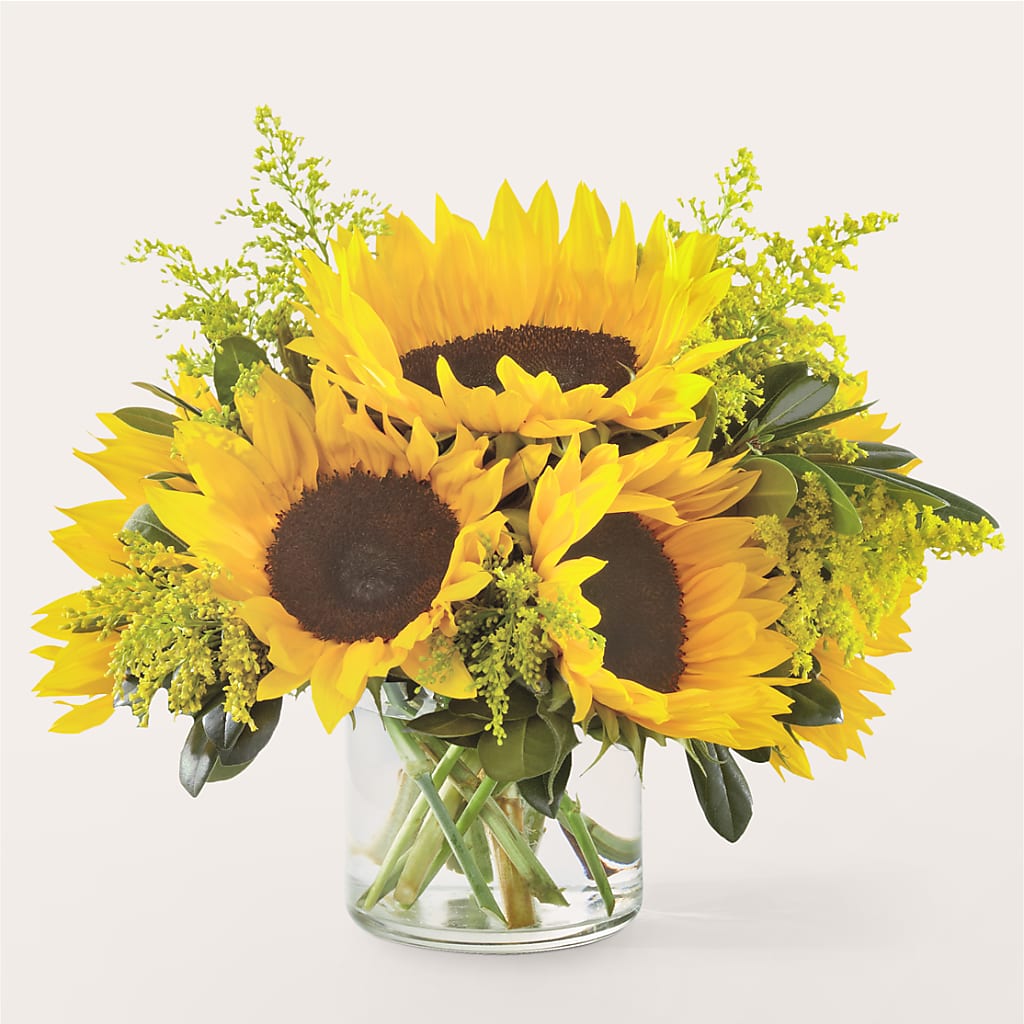 Beaming Sunflower Bouquet – Thompson Country Florist, Wintersville OH