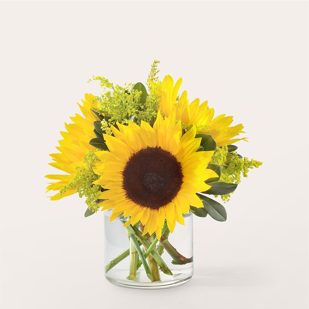 Beaming Sunflower Bouquet – Thompson Country Florist, Wintersville OH
