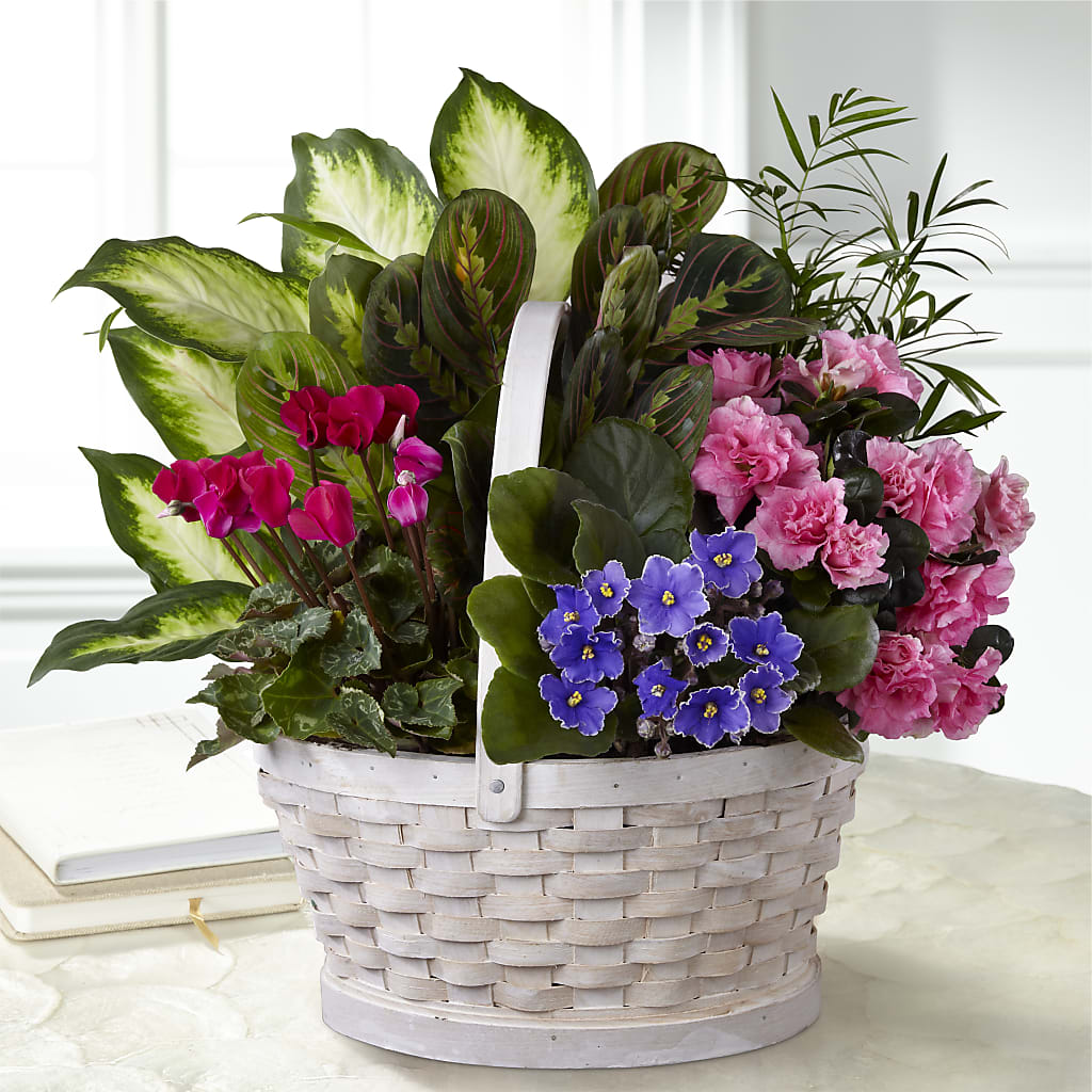 Peaceful Garden Planter – Thompson Country Florist, Wintersville OH