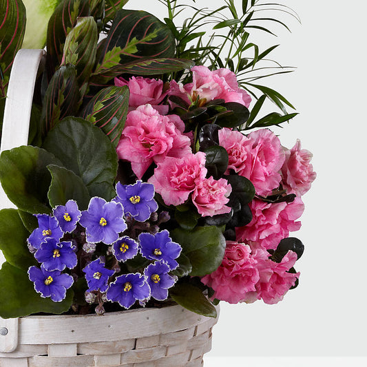 Peaceful Garden Planter – Thompson Country Florist, Wintersville OH