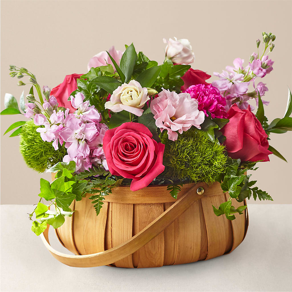 Radiance in Bloom Basket – Thompson Country Florist, Wintersville OH
