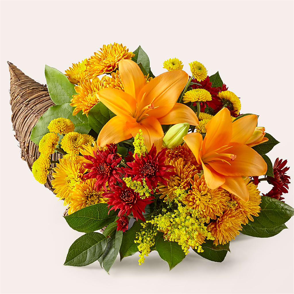 Feast of Color Cornucopia – Thompson Country Florist, Wintersville OH