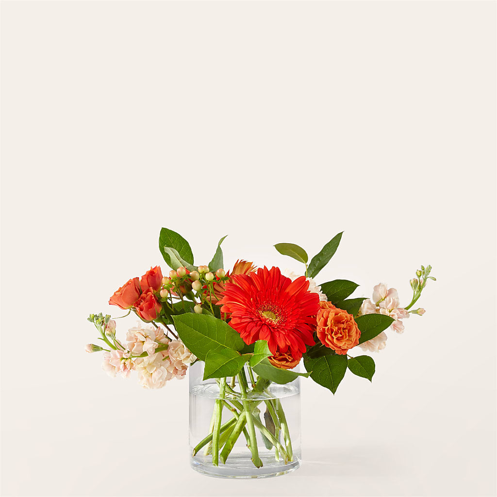 Paloma Please Bouquet – Thompson Country Florist, Wintersville OH