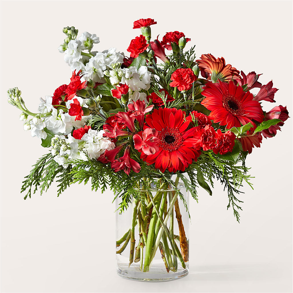 Holidaisy Bouquet – Thompson Country Florist, Wintersville OH