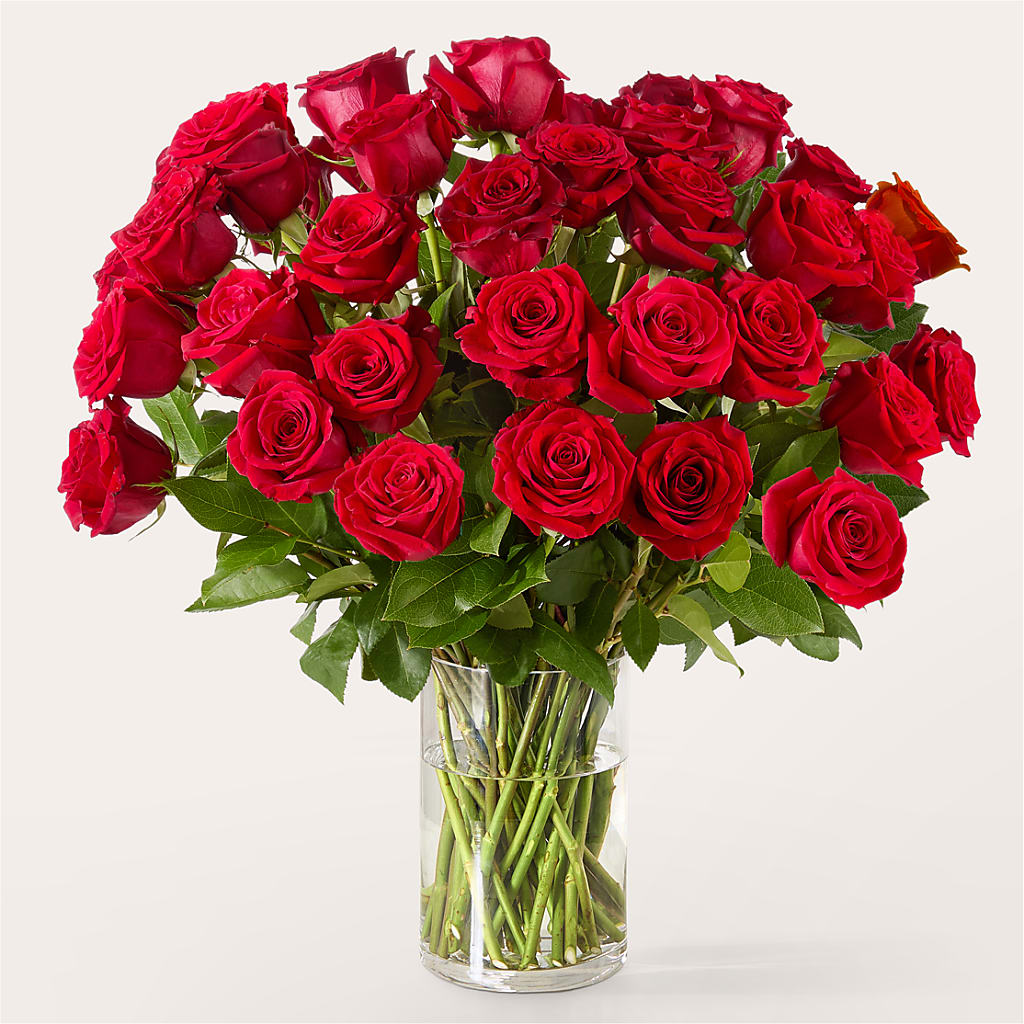 The One Red Rose Bouquet – Thompson Country Florist, Wintersville OH