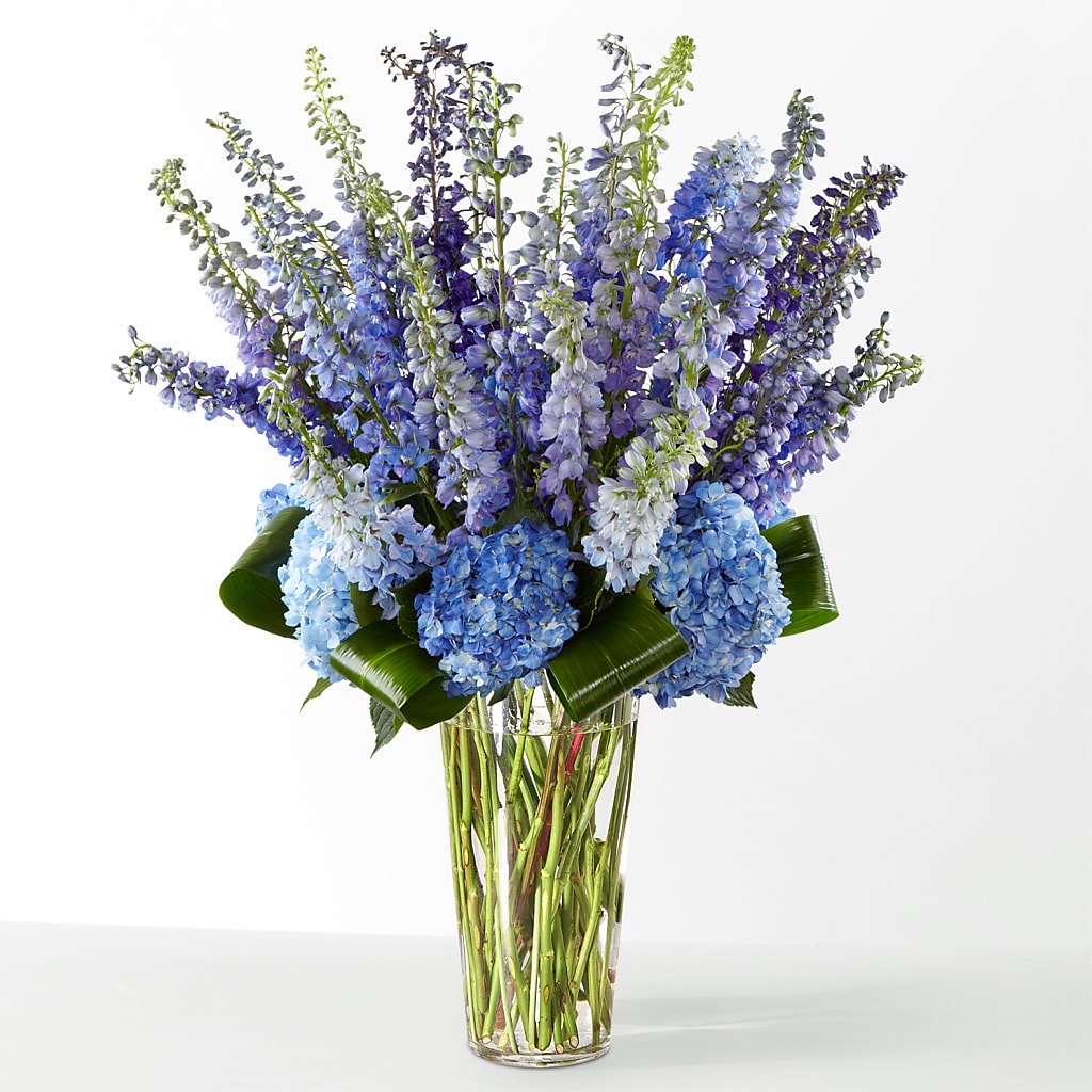 The Editorial – Thompson Country Florist, Wintersville OH