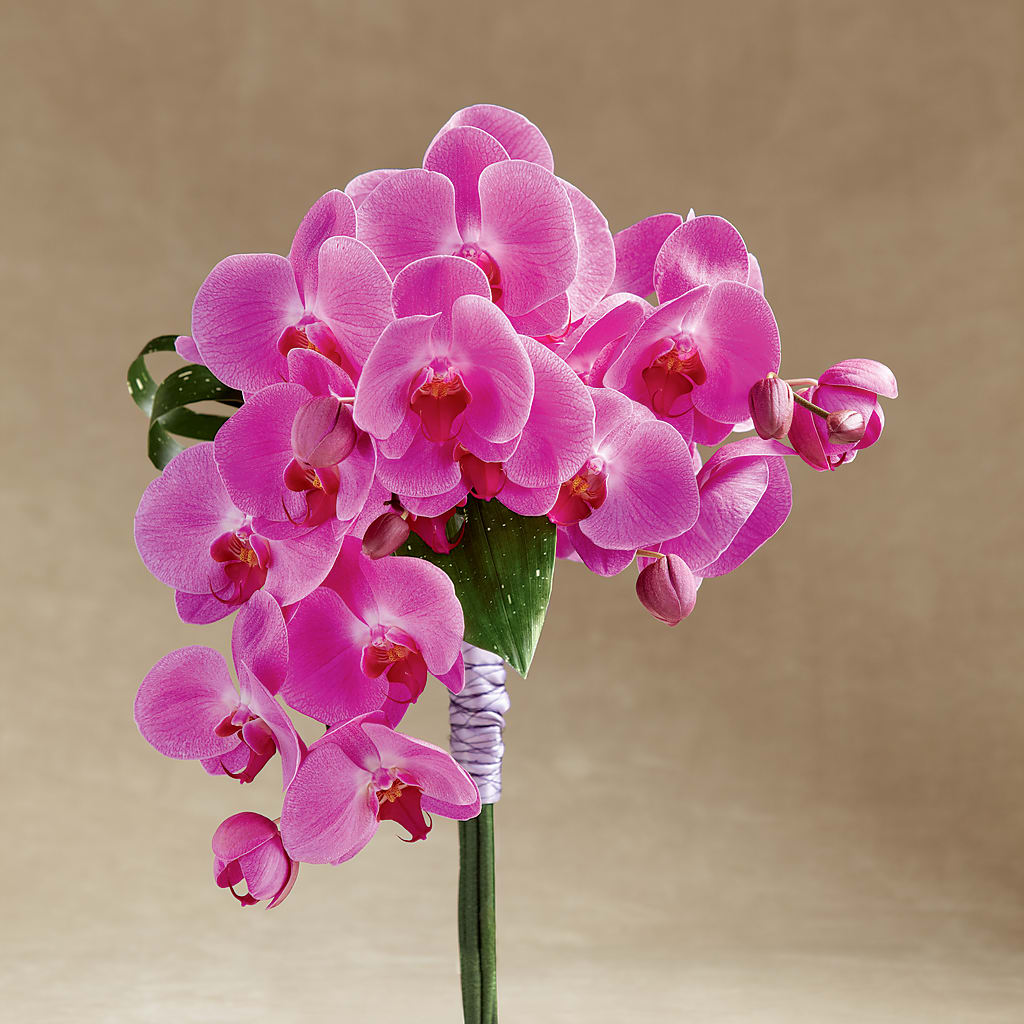 Glorious Bouquet – Thompson Country Florist, Wintersville OH