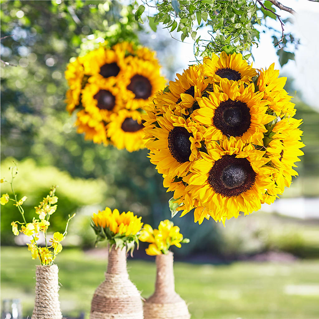 Sublime Garden Hanging Arrangement – Thompson Country Florist, Wintersville OH
