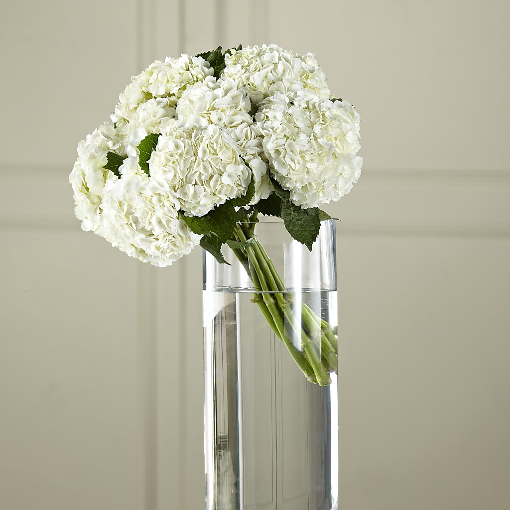 White Hydrangea Hand-Tied Bouquet – Thompson Country Florist, Wintersville OH