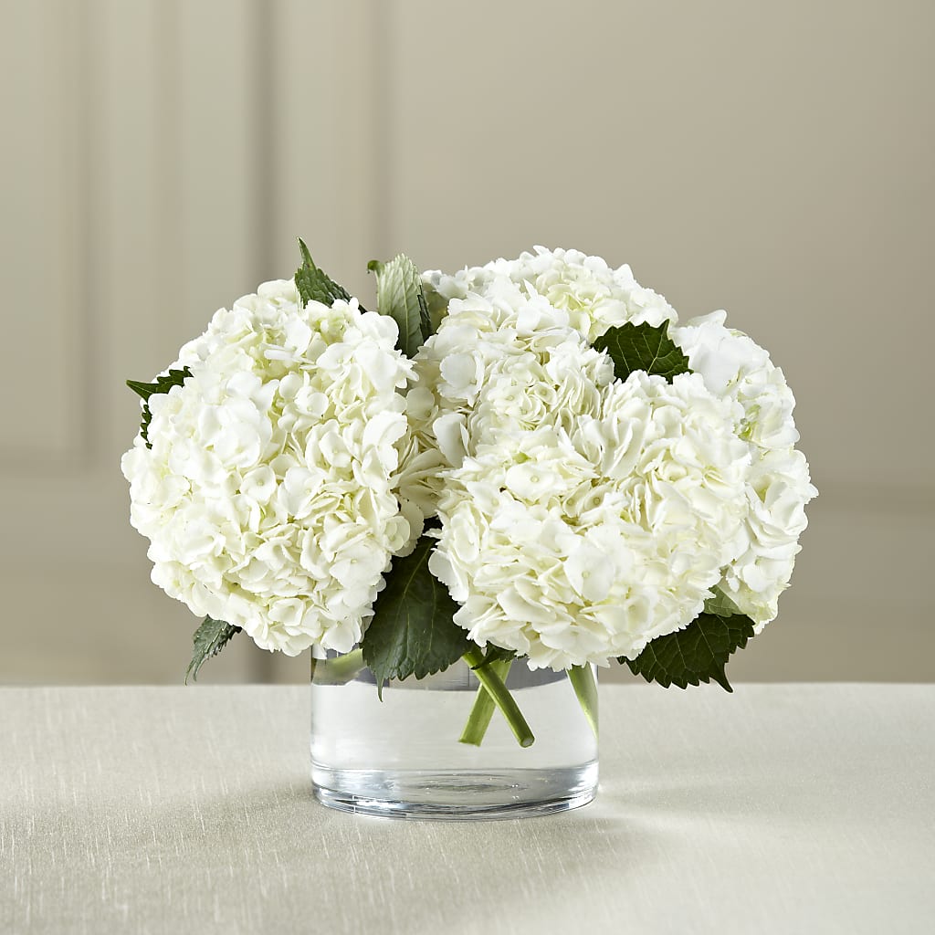 White Hydrangea Bouquet – Thompson Country Florist, Wintersville OH