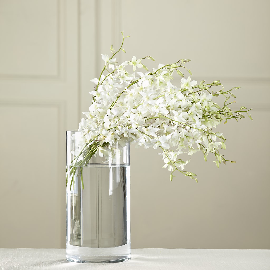 White Dendrobium Bouquet – Thompson Country Florist, Wintersville OH