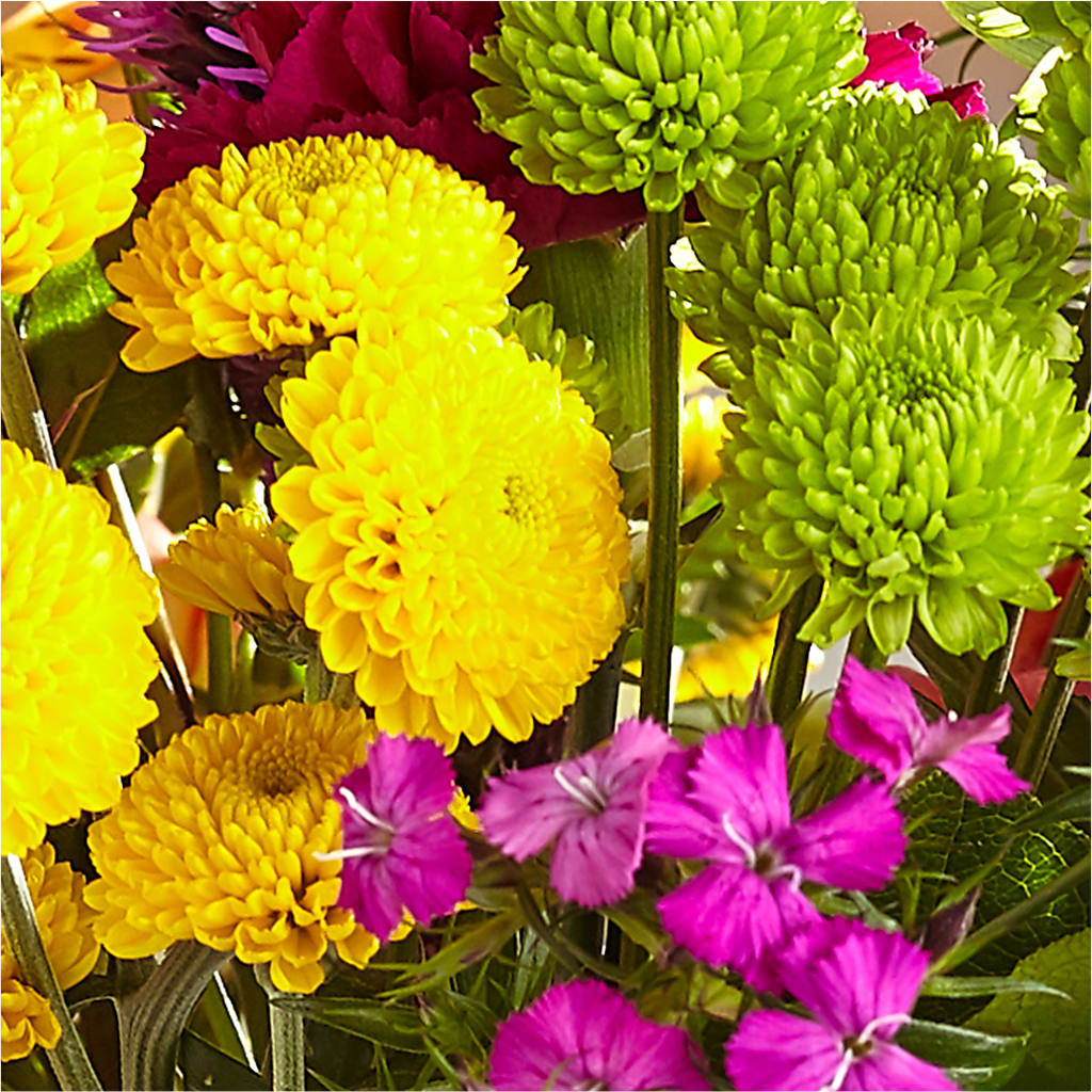 Bold & Bright – A Florist Original –  Thompson Country Florist, Wintersville OH