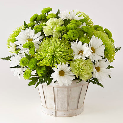 Lucky Charm Basket (Standard) –  Thompson Country Florist, Wintersville OH
