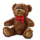 Adorable Plush Bear –  Thompson Country Florist, Wintersville OH