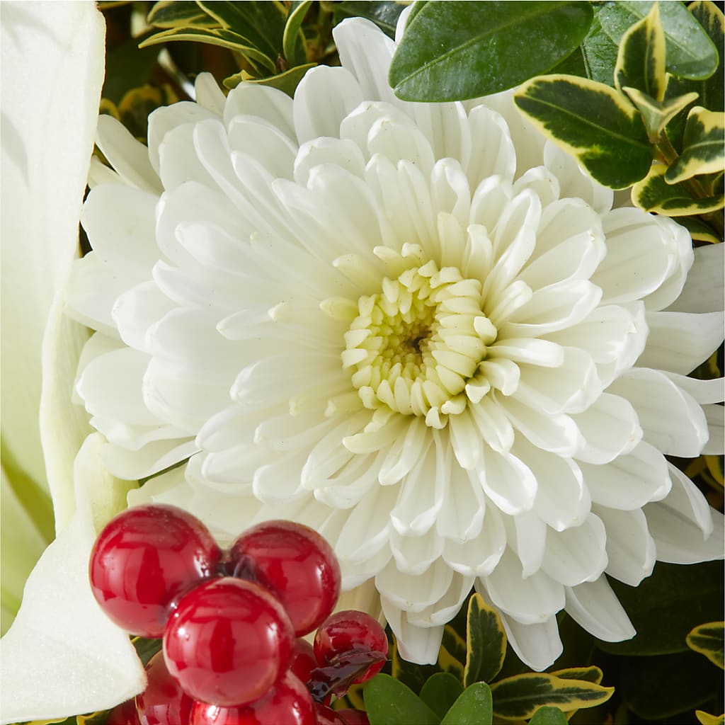 Festive Moments Tree –  Thompson Country Florist, Wintersville OH
