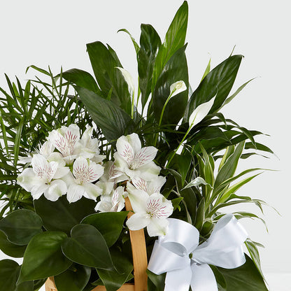 Peace & Serenity Dishgarden –  Thompson Country Florist, Wintersville OH