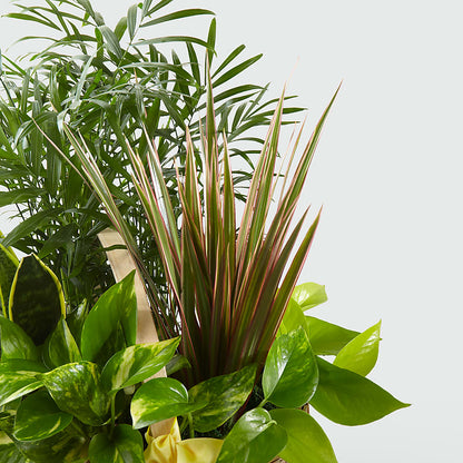 French Garden –  Thompson Country Florist, Wintersville OH