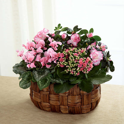 Pink Assortment –  Thompson Country Florist, Wintersville OH
