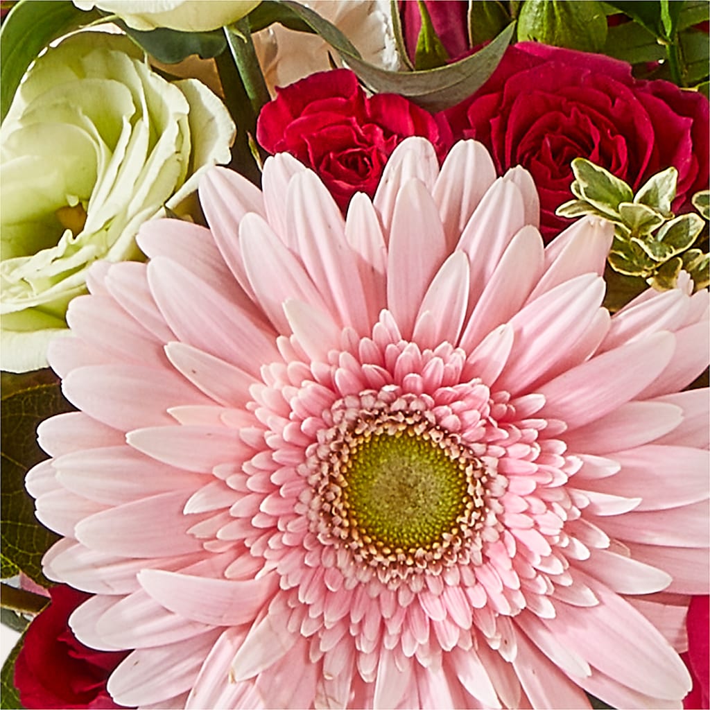 Too Cute Bouquet –  Thompson Country Florist, Wintersville OH