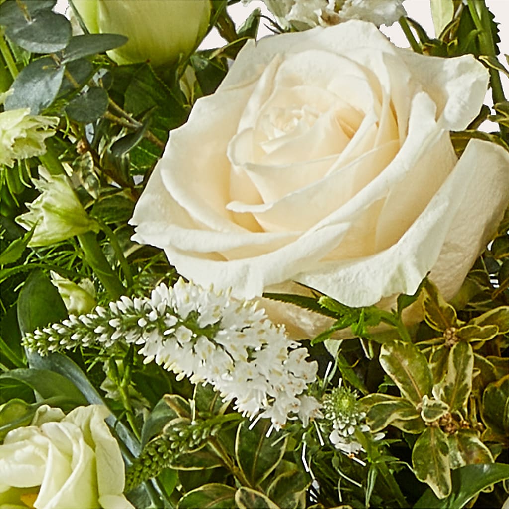 Cashmere Bouquet –  Thompson Country Florist, Wintersville OH