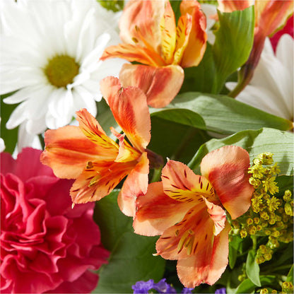 Oopsie Daisy Box Bouquet –  Thompson Country Florist, Wintersville OH