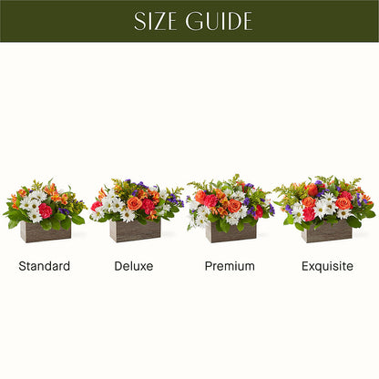 Oopsie Daisy Box Bouquet –  Thompson Country Florist, Wintersville OH
