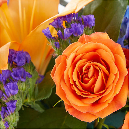 Radiant Citrus Box Bouquet –  Thompson Country Florist, Wintersville OH