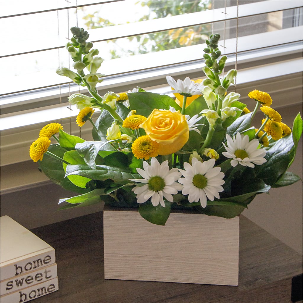 Sun Salutation Box Bouquet –  Thompson Country Florist, Wintersville OH