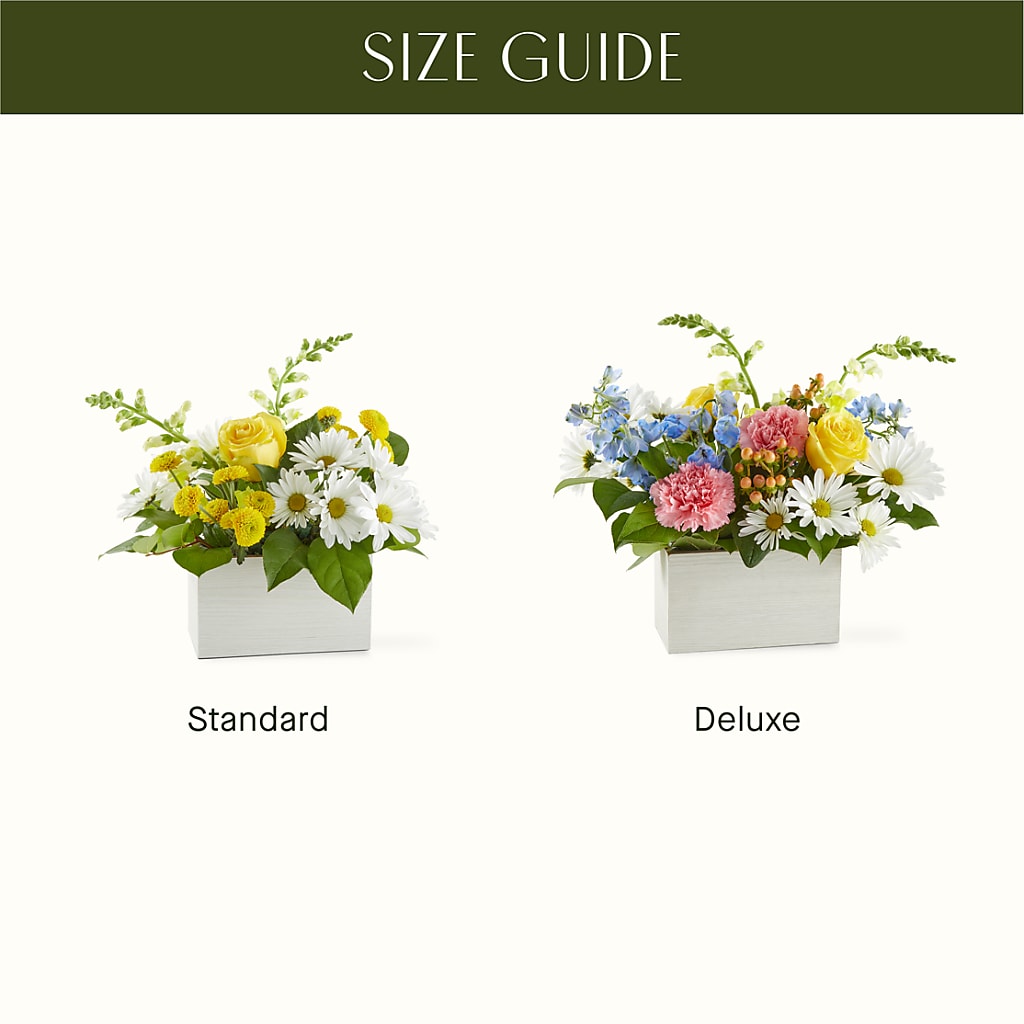 Sun Salutation Box Bouquet –  Thompson Country Florist, Wintersville OH