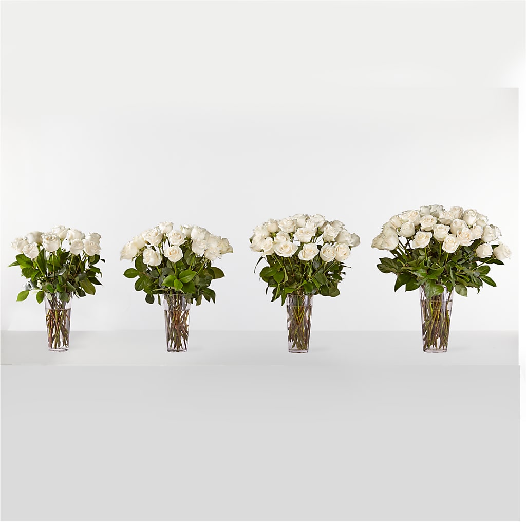 Long Stem White Rose Bouquet –  Thompson Country Florist, Wintersville OH