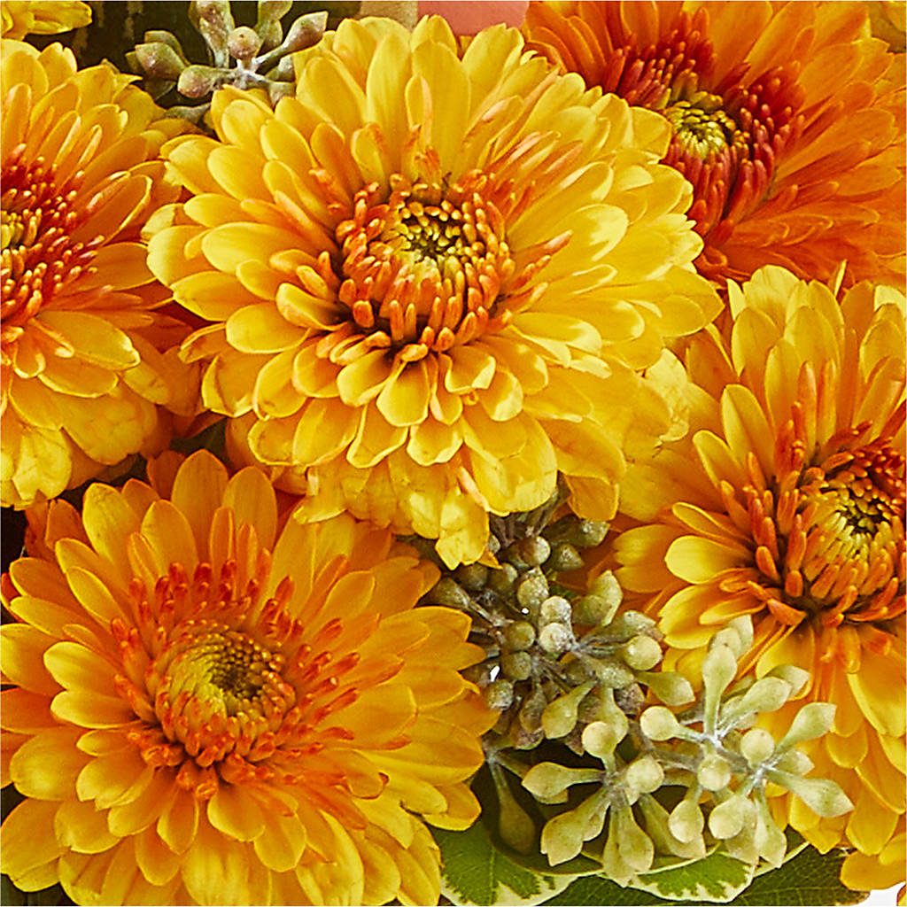 Peachy Pumpkin –  Thompson Country Florist, Wintersville OH