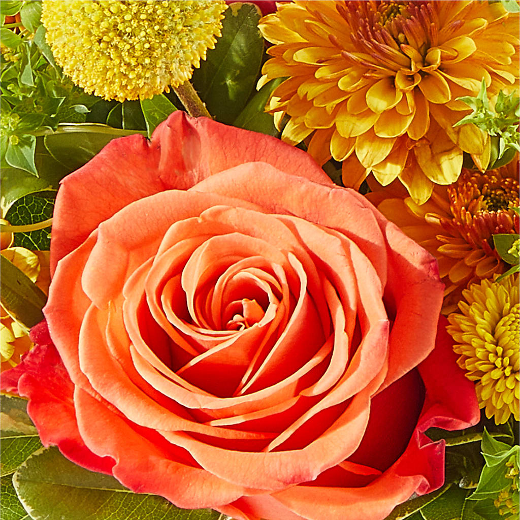 Gourdgeous Pumpkin –  Thompson Country Florist, Wintersville OH
