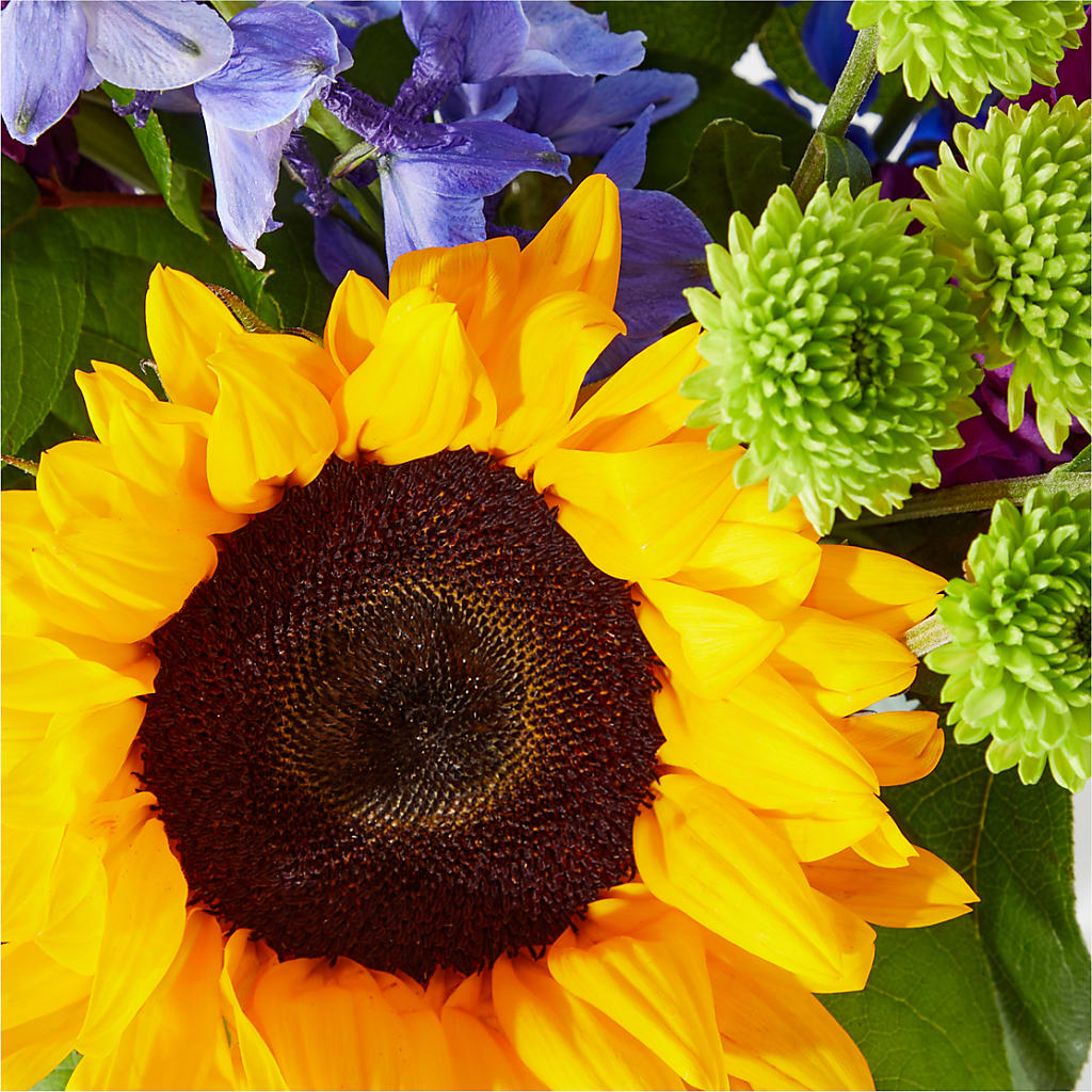 Catching Rays Bouquet –  Thompson Country Florist, Wintersville OH