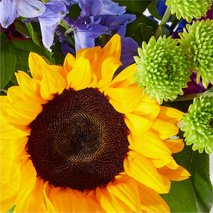 Catching Rays Bouquet –  Thompson Country Florist, Wintersville OH