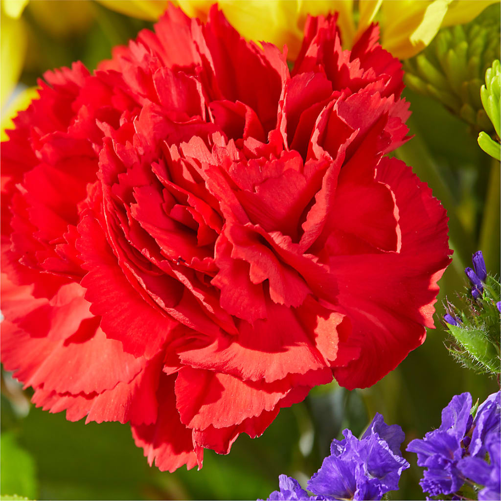 Brighter Days Bouquet –  Thompson Country Florist, Wintersville OH