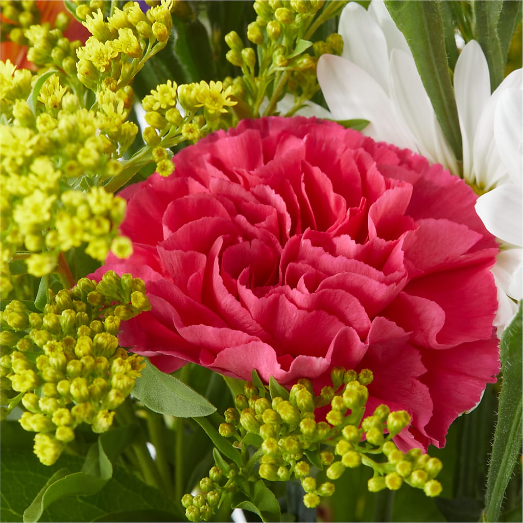 Oopsie Daisy Bouquet –  Thompson Country Florist, Wintersville OH