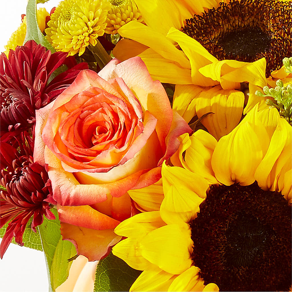 Golden Gourd Pumpkin Bouquet –  Thompson Country Florist, Wintersville OH
