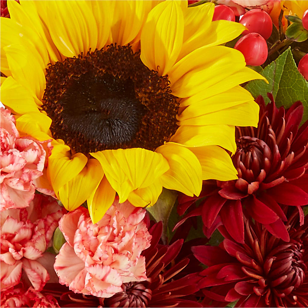 Fresh Cider Bouquet –  Thompson Country Florist, Wintersville OH