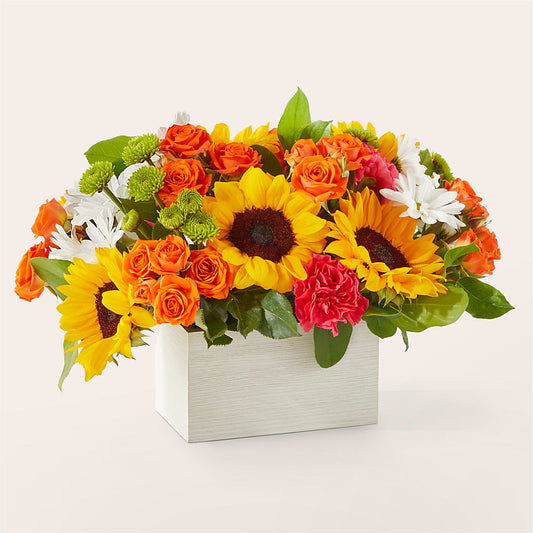 Sun-drenched Blooms Box Bouquet –  Thompson Country Florist, Wintersville OH