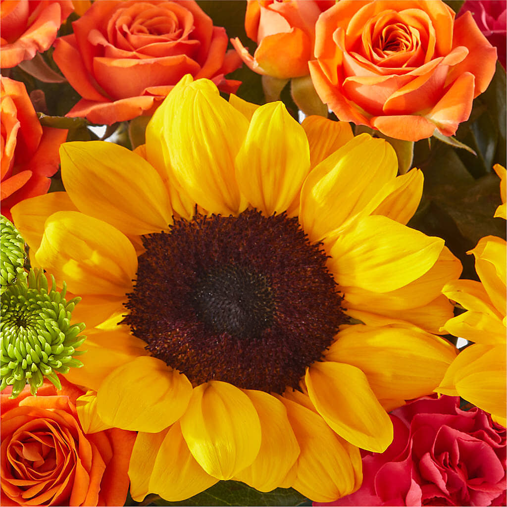 Sun-drenched Blooms Box Bouquet –  Thompson Country Florist, Wintersville OH