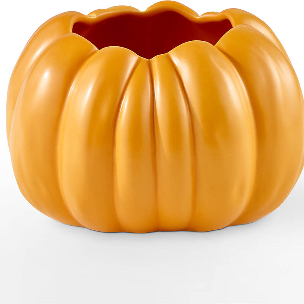 Golden Gourd Pumpkin Bouquet –  Thompson Country Florist, Wintersville OH